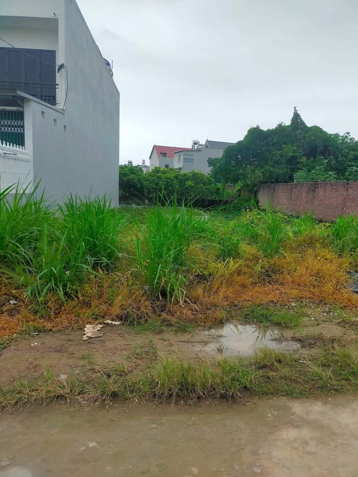 Đất thổ cư Lương Phong 150m² giá 1.1 tỷ - Tiện ích đầy đủ, giao thông thuận lợi!