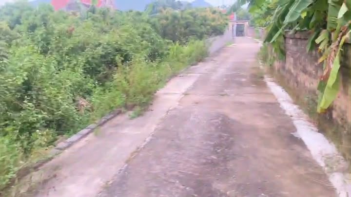 Đất thổ cư lâu dài 216.8m² tại Thôn Trại Đảng, Lục Nam - Giá đầu tư chỉ 4XX triệu!