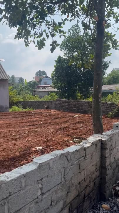 Đất vườn biệt thự Kép Lạng Giang 300m² giá chỉ 1.6 tỷ - Cơ hội vàng cho đầu tư!