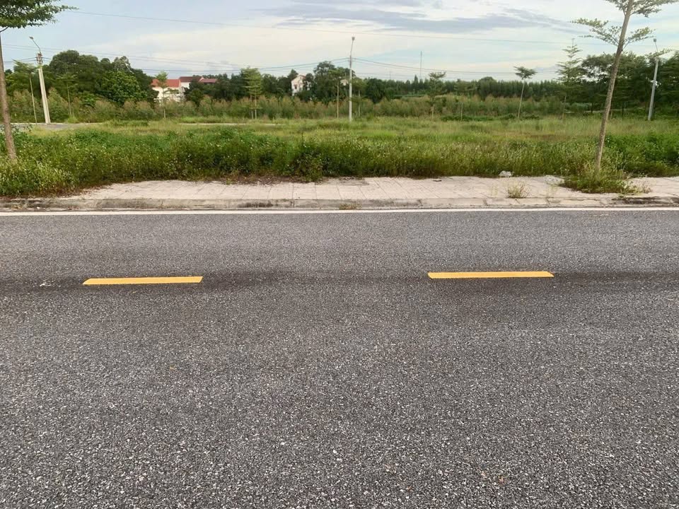 Đất nền 95m² tại Chu Hóa, Việt Trì - Bán gấp chỉ 1.4 tỷ!