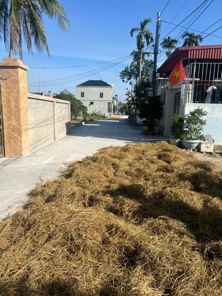 Đất thổ cư Vinh Quang 100m² giá 1.55 tỷ - Đường thông các ngả, vị trí đắc địa!