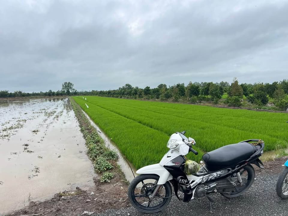 Đất nền 4760m² xã Tân Lược, Bình Tân, giá chỉ 400 triệu - Cơ hội đầu tư tuyệt vời!