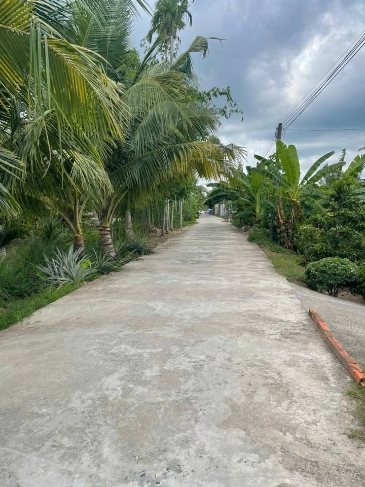 Đất công nghỉ dưỡng Nhơn Ái, Phong Điền 2000m² giá 2.4 tỷ - Tiện ích tuyệt vời!