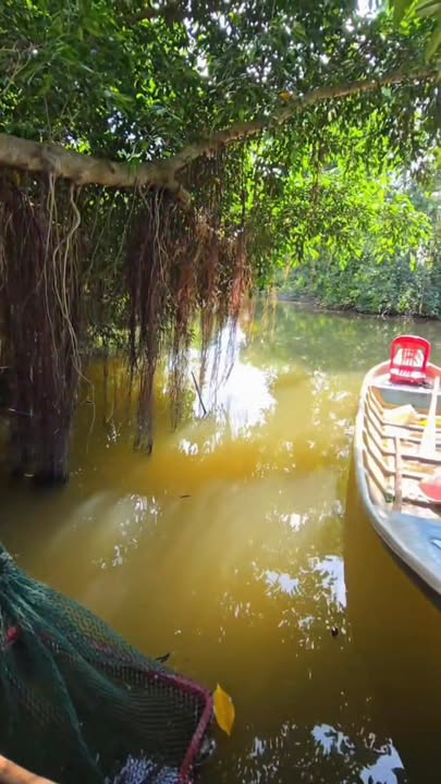 Đất NTTS 540.000m² xã Long Vĩnh, Trà Vinh - Giá chỉ 16.5 tỷ, đường xe hơi tới nơi!