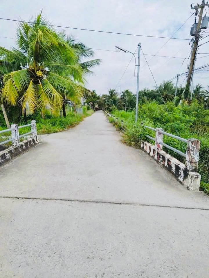 Đất nền Phú Tân Bến Tre 130m² giá 490 triệu - Cơ hội đầu tư tuyệt vời!