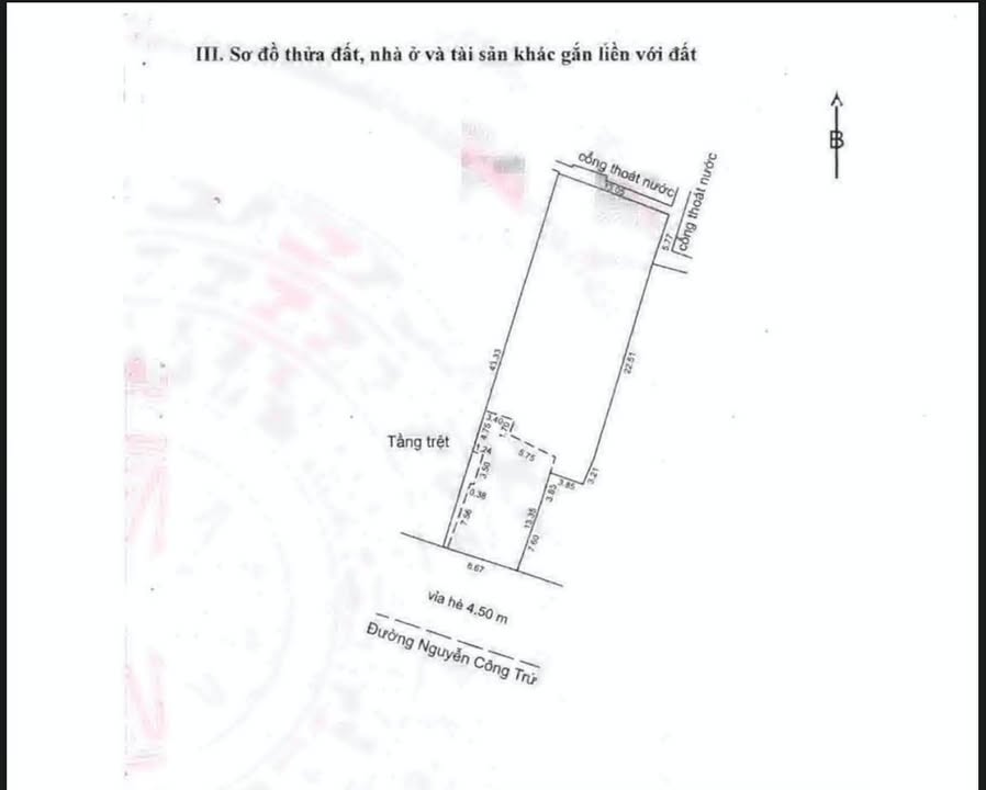 Đất nền mặt tiền Nguyễn Công Trứ, Sơn Trà, Đà Nẵng 513m² giá 71 tỷ - Đầu tư sinh lời cực cao!