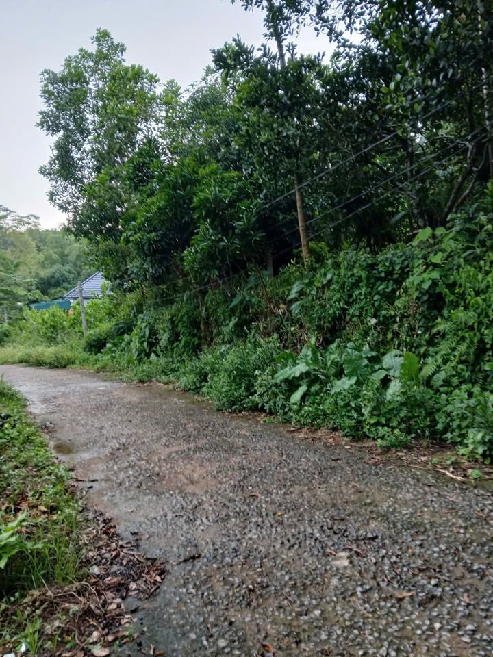 Đất nền Xích Thổ Nho Quan 300m² - Vị trí đẹp, giá tốt!