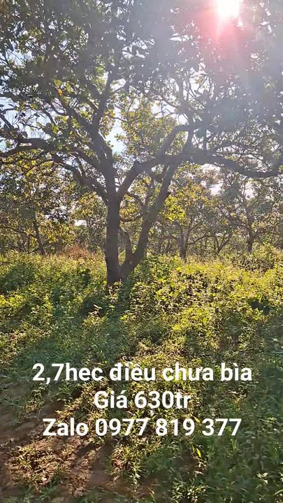 Đất nền 2,7ha xã Ia Nan, huyện Đức Cơ, Gia Lai - Giá chỉ 630 triệu, thương lượng tốt!