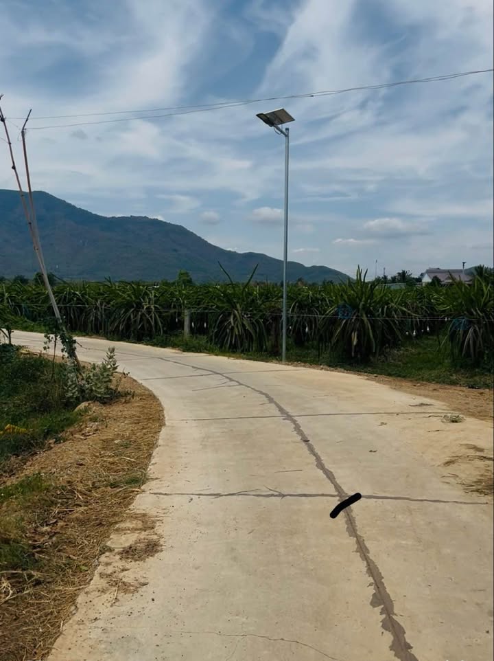 Đất trồng thanh long 14.000m² tại Hàm Thạnh - Giá chỉ 2.9 tỷ, chính chủ bán gấp!