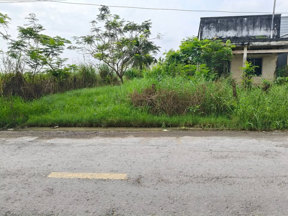 Đất nền mặt tiền đường TL 871c, xã Tân Điền 182m² giá 700 triệu - Cơ hội đầu tư vàng!