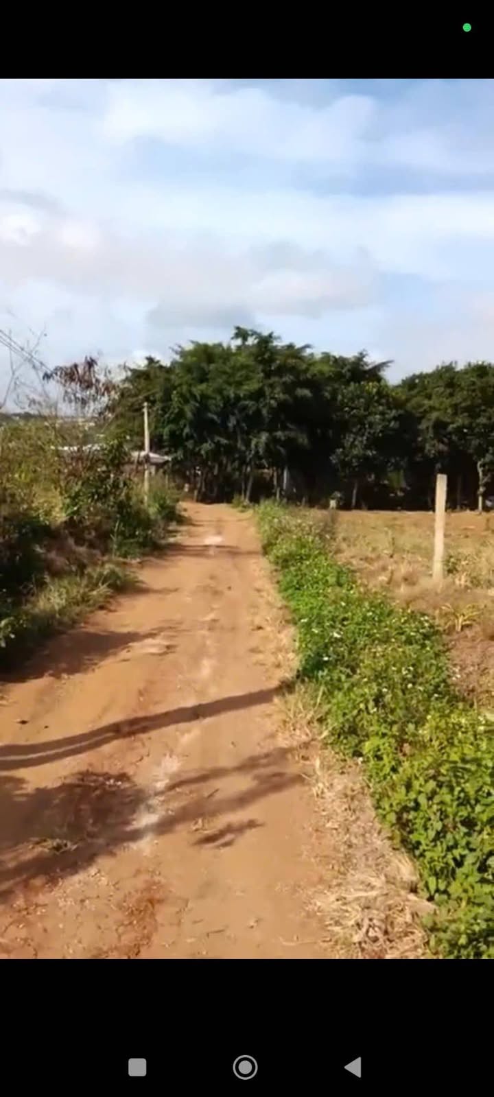 Đất thổ cư xã Ea Drong (Buôn Hồ) 430m² giá 518 triệu - Hướng Nam, ô tô vào tận nơi!