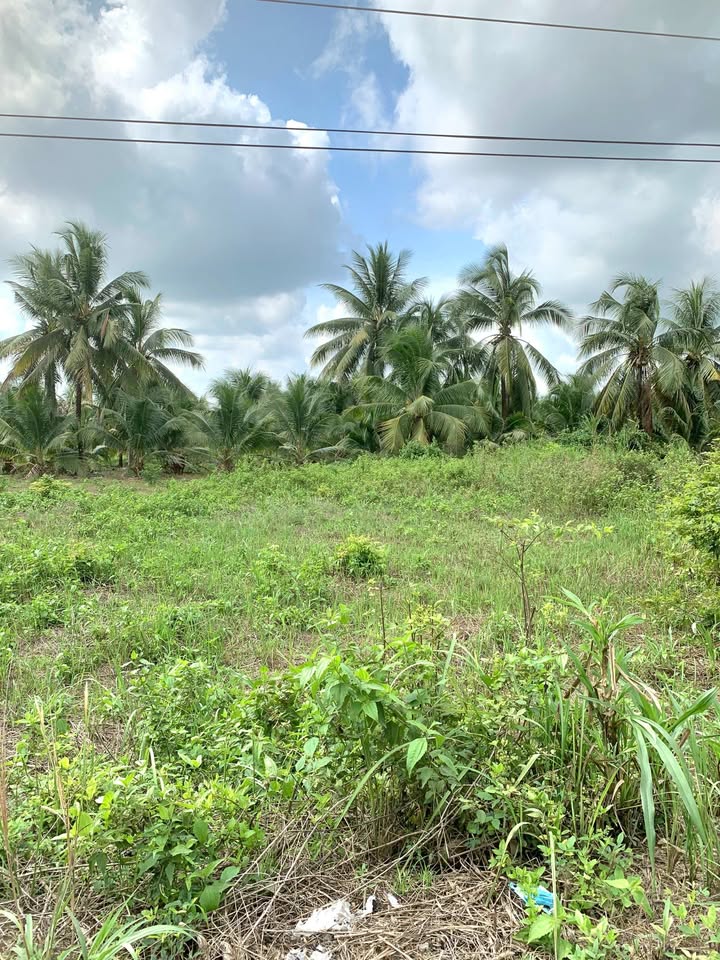 Đất nền Gò Dầu 320m² giá 1.1 tỷ - Sổ hồng riêng, tiện ích đầy đủ!