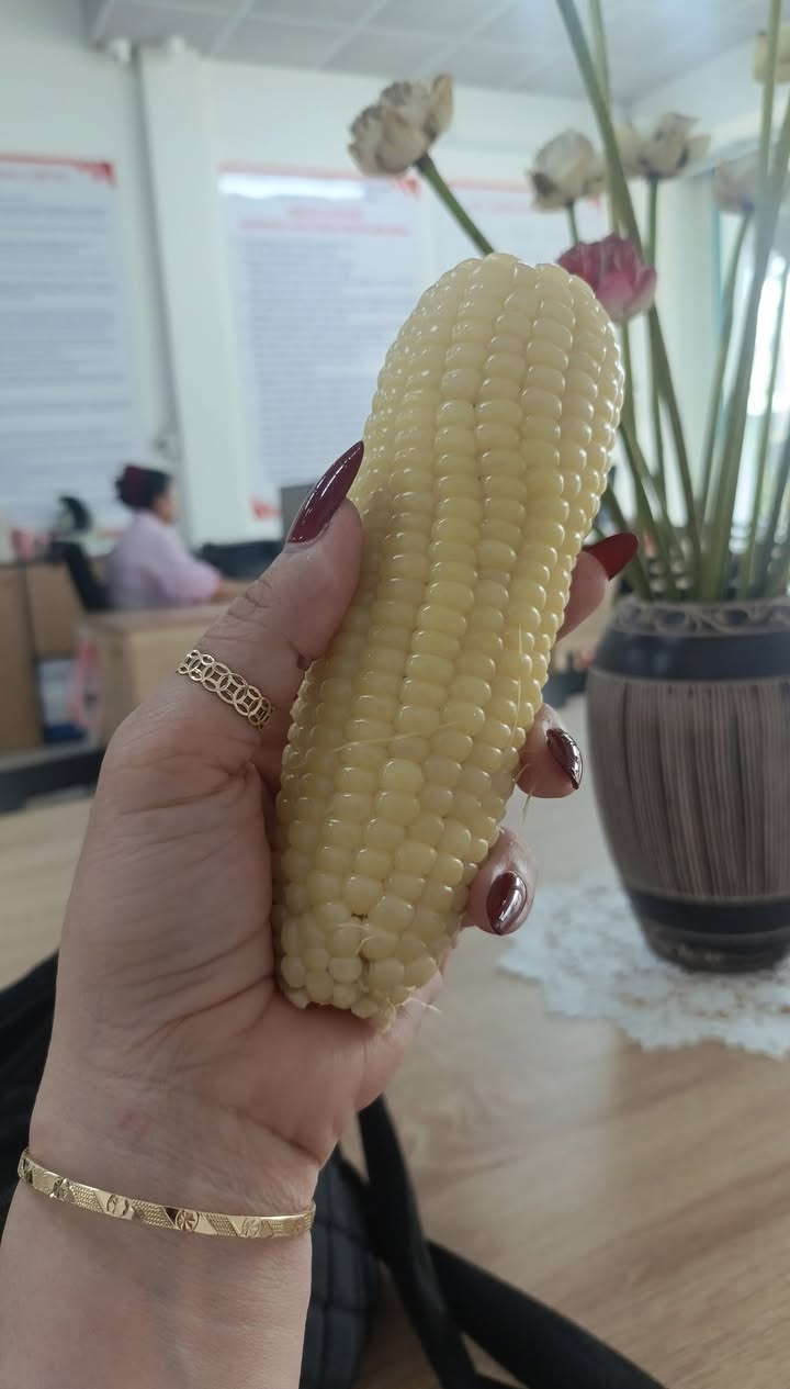 Đất mặt tiền đường nhựa Trí Bình, Châu Thành, Tây Ninh 155m² - Giá chỉ 300 triệu!