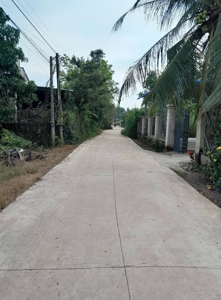 Đất thổ cư 180m² tại ấp Xóm Pháp, Tân Phong - Giá chỉ 329 triệu, pháp lý rõ ràng!