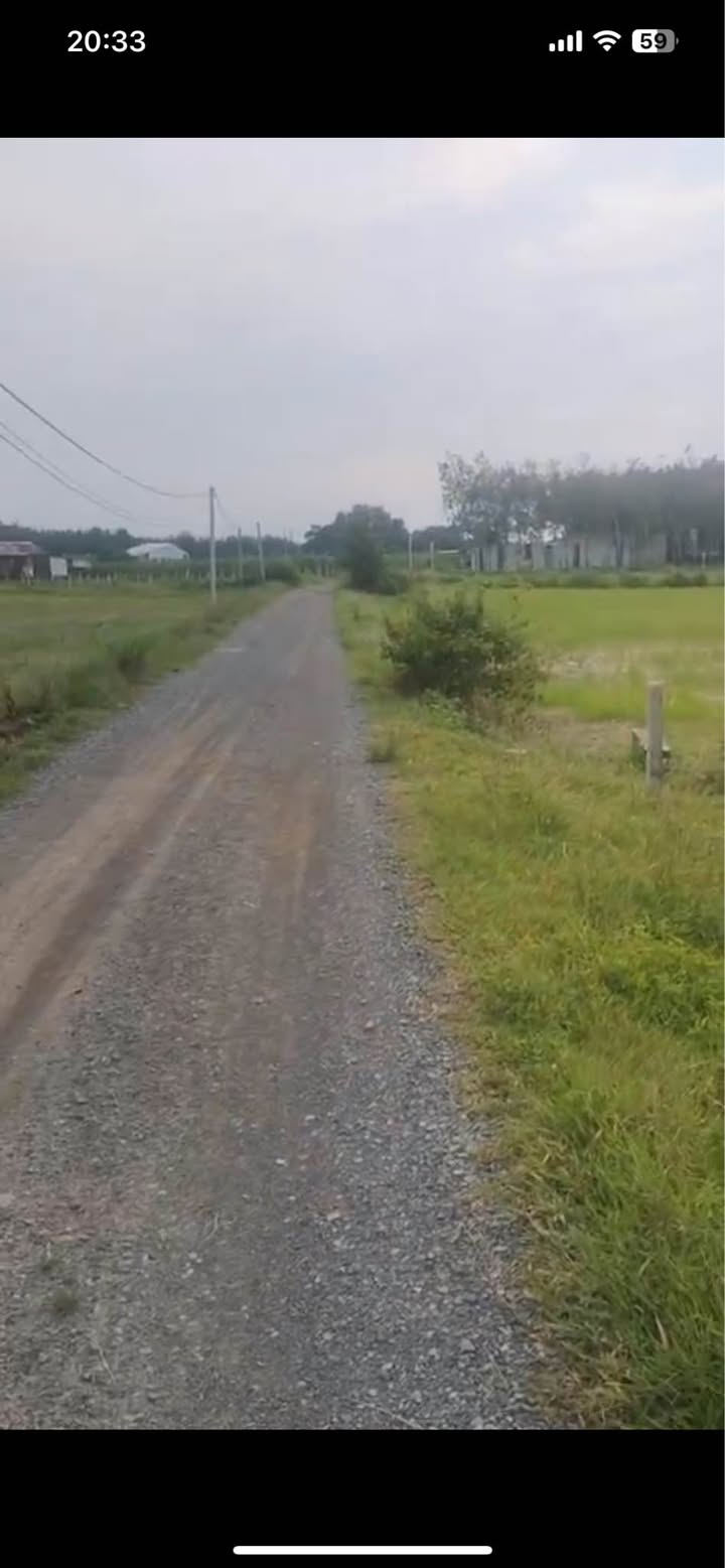 Đất Tân Bình Tây Ninh 3700m² giá 1.8 tỷ - Cơ hội đầu tư tuyệt vời!