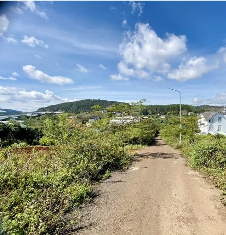 Đất Măng Lin, Đà Lạt 205m² giá 5 tỷ - Ô tô tận nơi, khu nghỉ dưỡng lý tưởng!