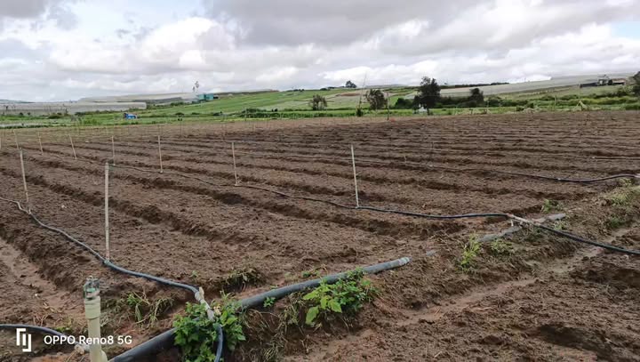 Lô đất sào Ka Đơn Đơn Dương 12258m² giá 44.131 tỷ - Bán gấp chính chủ!