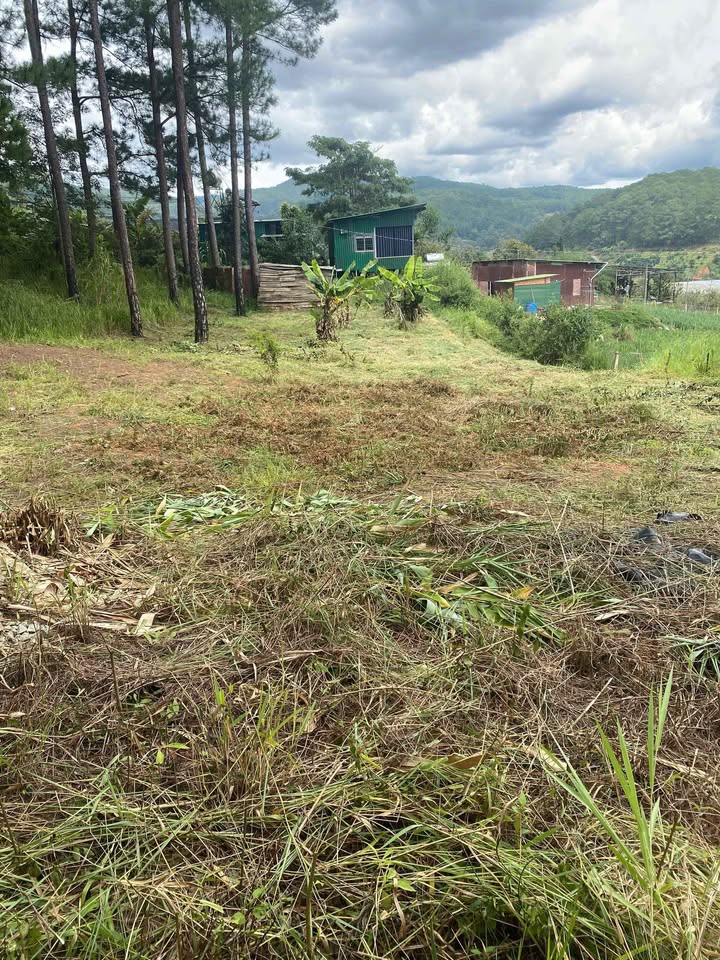 Đất nền Mimosa P10 Đà Lạt 500m² giá chỉ 600 triệu - Cơ hội đầu tư tốt!