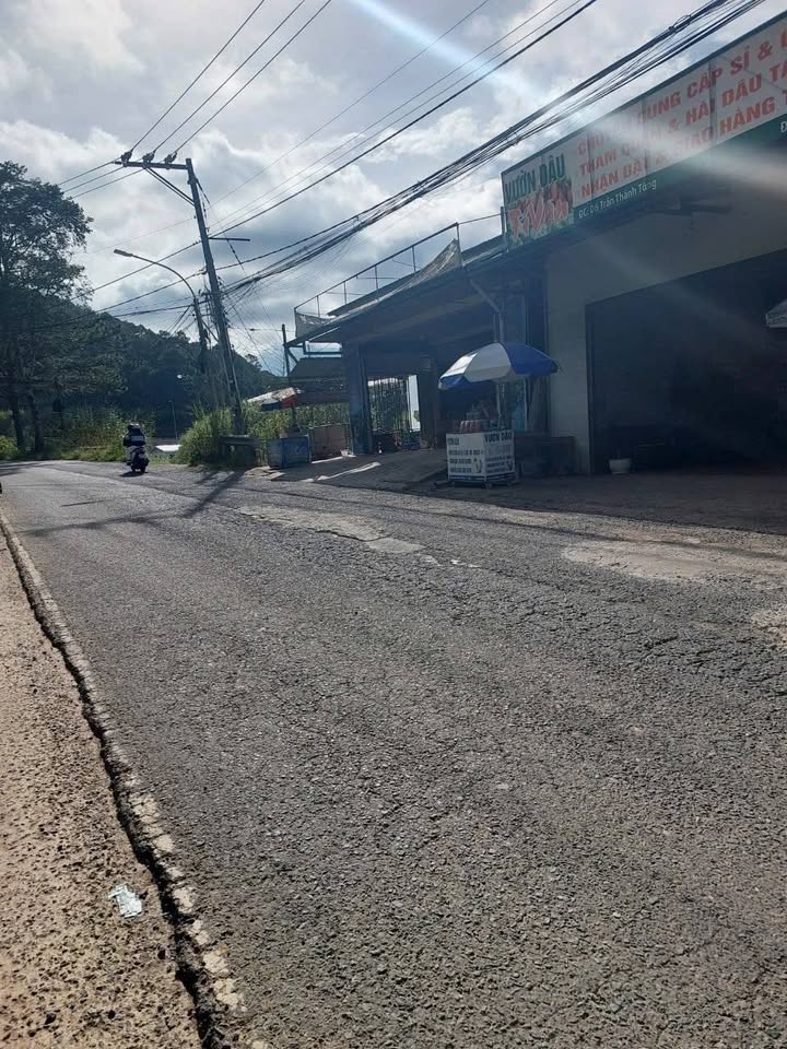 Căn hộ cao cấp cho thuê tại Đà Lạt 100m² - Không gian sống lý tưởng giữa rừng thông