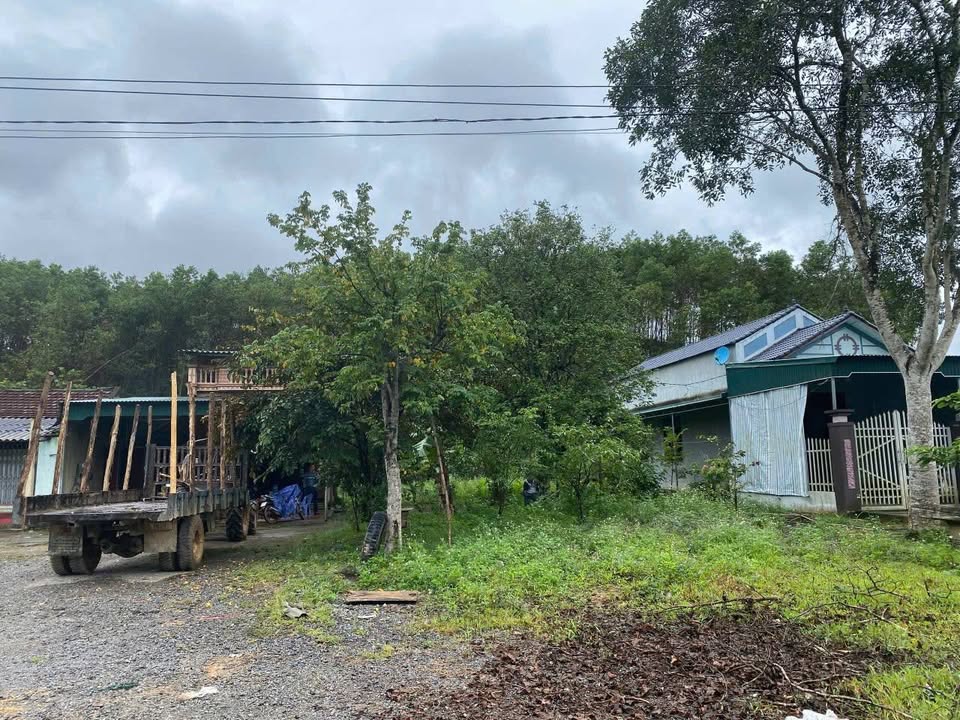 Đất lâm nghiệp 20.000m² tại Tân Thành, Thường Xuân - Đầu tư sinh lời lâu dài!