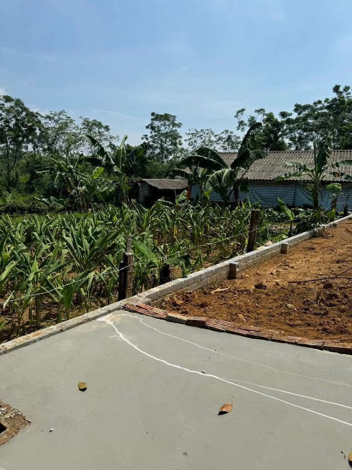 Đất thổ cư Phú Cát, Quốc Oai 357m² chỉ 900 triệu - Cơ hội đầu tư vàng!