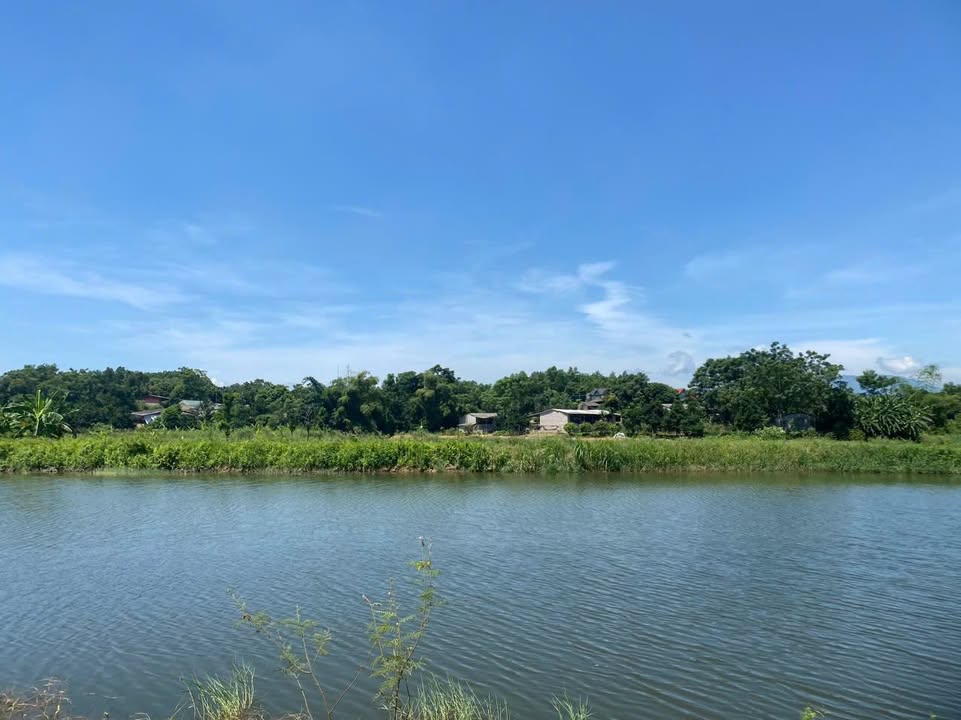 Đất nghỉ dưỡng 1.4ha tại Ba Trại - Ba Vì giá thỏa thuận - Cực phẩm ven đô!