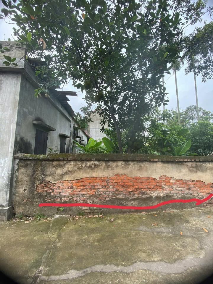 Đất nền Bích Động, Việt Yên 100m² giá 1.6 tỷ - Đường lớn, giao thông thuận tiện!