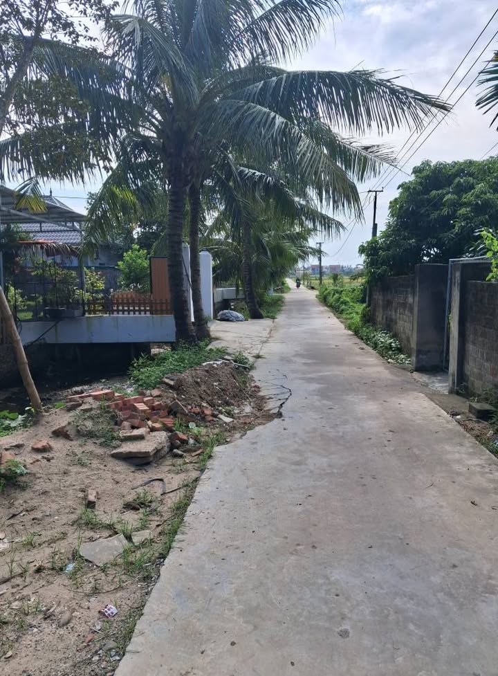 Farm 1600m² Hồng Lạc Thanh Hà giá 1 tỷ - Sẵn sàng chuyển nhượng!