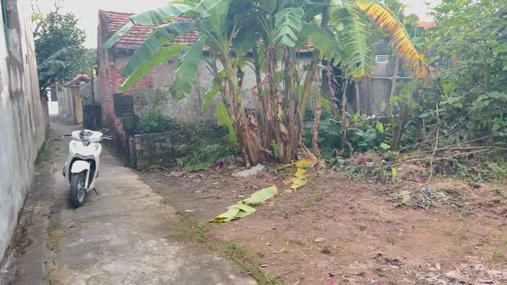 Đất nền đầu tư Hòa Mạc Duy Tiên 110m² giá tốt - Cơ hội không thể bỏ lỡ!