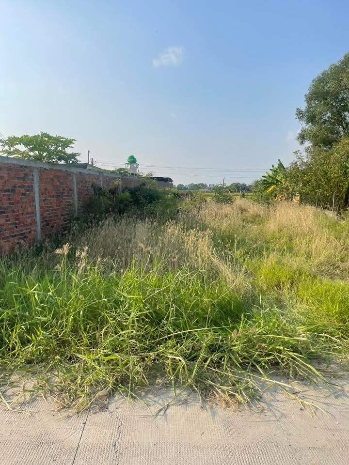 Đất thổ cư Hòa Khánh, Đức Hòa, Long An 175m² giá 1.8 tỷ - Đầu tư sinh lời ngay!