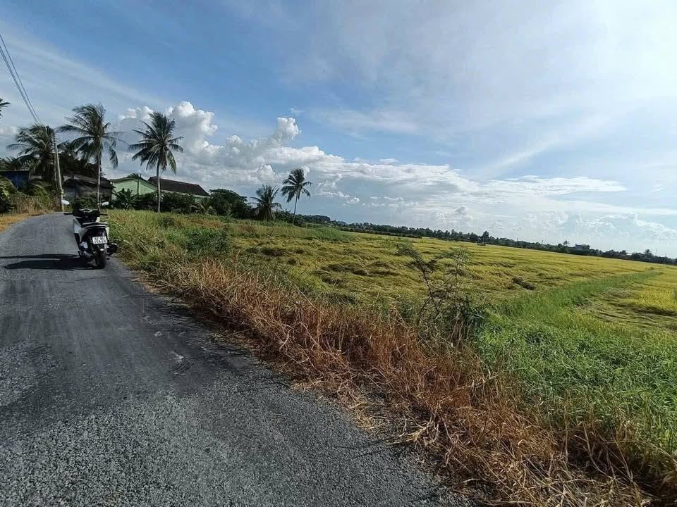 Đất lúa 3500m² tại ấp Bà Nghiệm, Thủ Thừa chỉ 2.17 tỷ - Đầu tư tiềm năng!