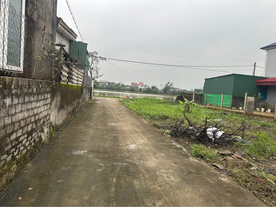 Đất nền Hưng Hòa 51m² giá chỉ 930 triệu - Cơ hội đầu tư tiềm năng!