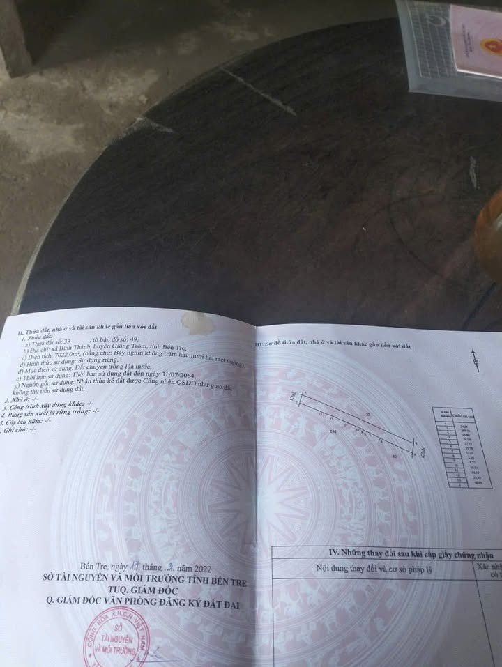 Đất ruộng 7000m² xã Bình Thành, Giồng Trôm - Giá chỉ 1.82 tỷ!