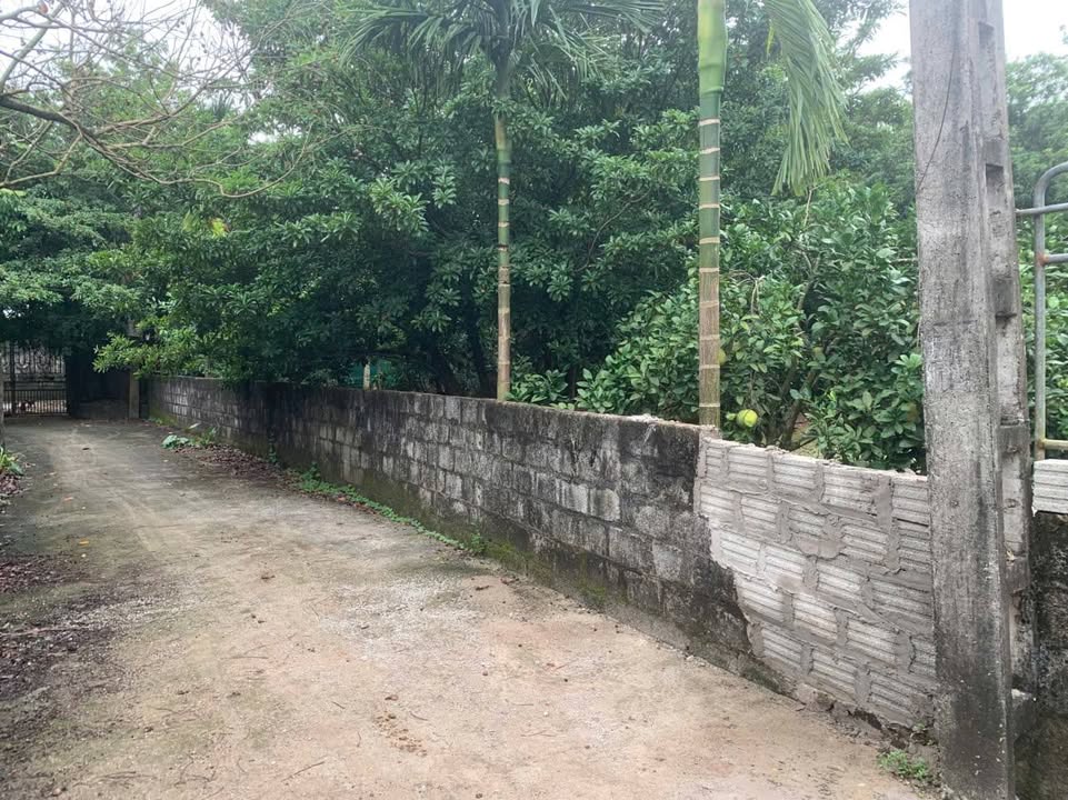 Đất nền Ngọc Lũ, Bình Lục 420m² giá chỉ 1 tỷ - Tiềm năng đầu tư lớn!