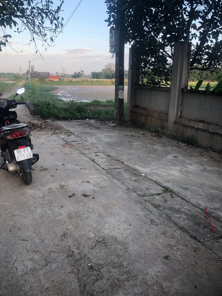 Đất nền Ninh Xá, Thuận Thành 100m² giá đầu tư - Đừng bỏ lỡ cơ hội!