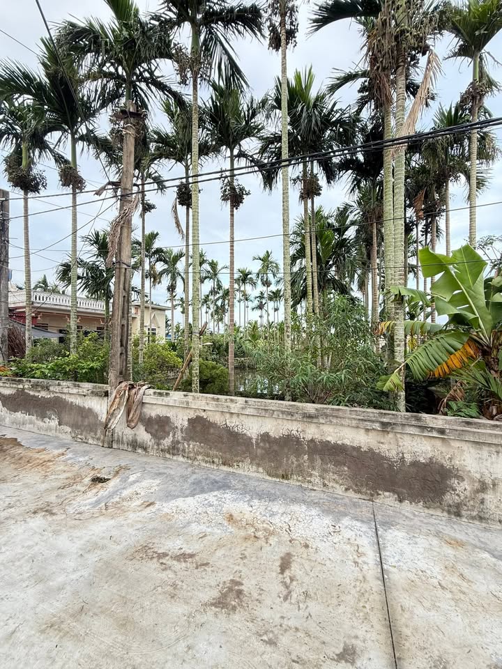 Đất nền Giao Bình 225.5m² giá 1.5 tỷ - Cơ hội vàng cho nhà đầu tư!