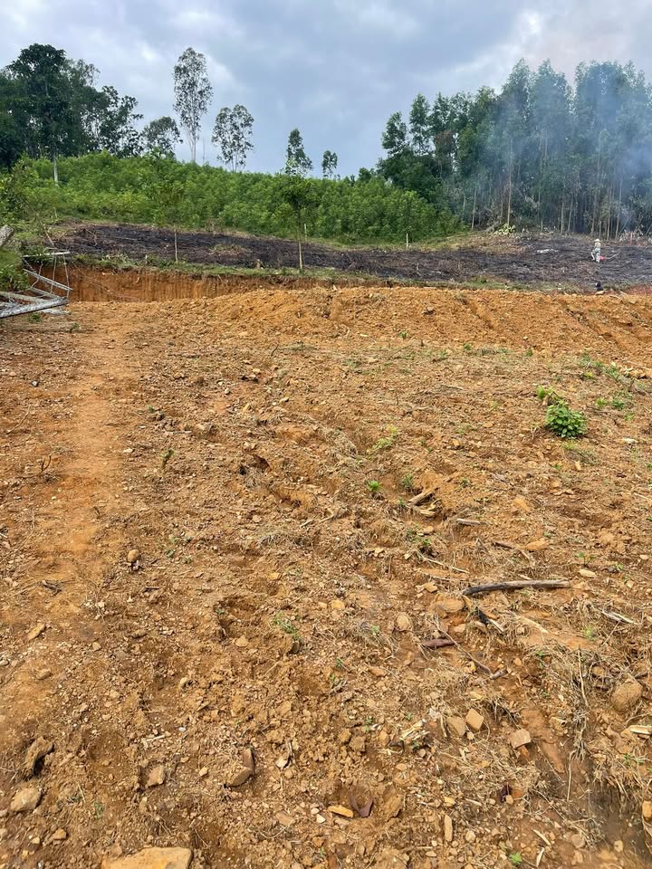 Đất nền thôn Xuân Phú, Hòa Khánh 3000m² - Giá chỉ từ 800k/m²