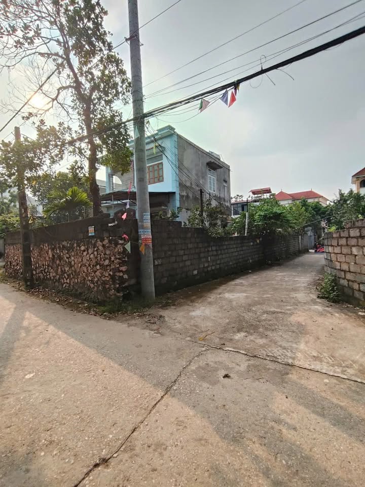 Đất lô góc Phụng Châu, Chương Mỹ 130m² giá 7 tỷ - Vị trí đắc địa, phát triển mạnh!