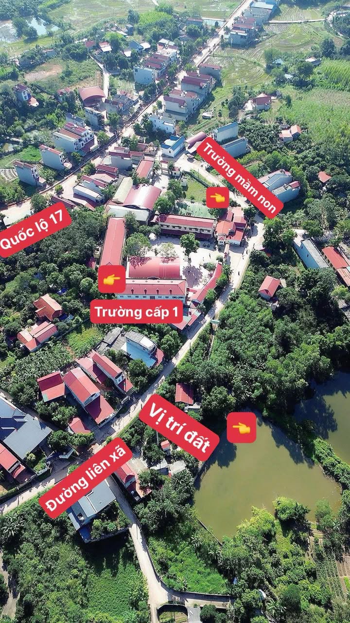 Đất nền Tam Hiệp, Yên Thế, Bắc Giang 120m² giá 800 triệu - Tiềm năng kinh doanh lớn!