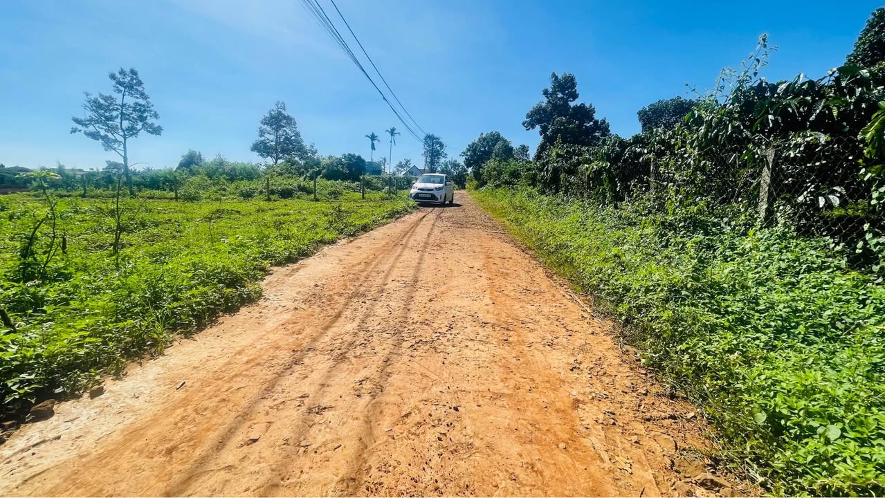 Đất nền mặt tiền Bùi Dự, Pleiku 150m² giá chỉ 1 tỷ - Tiềm năng phát triển cao!