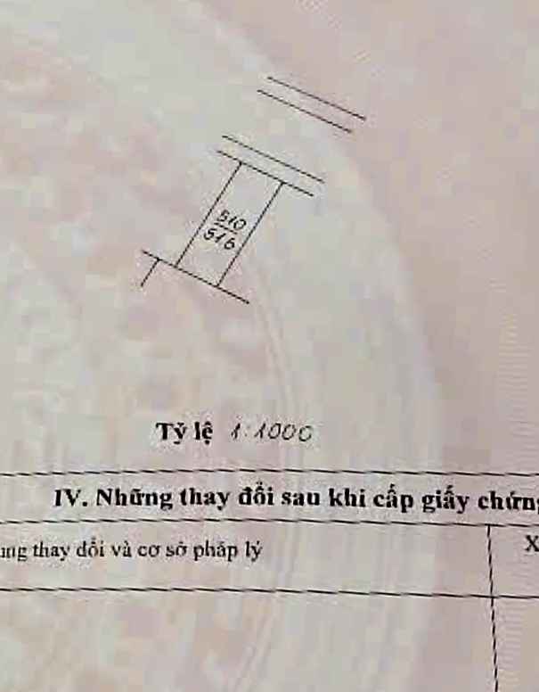 Đất dịch vụ Tân Tây Đô, Đan Phượng, Hà Nội 51.6m² - Vị trí đẹp, giá đầu tư hấp dẫn!