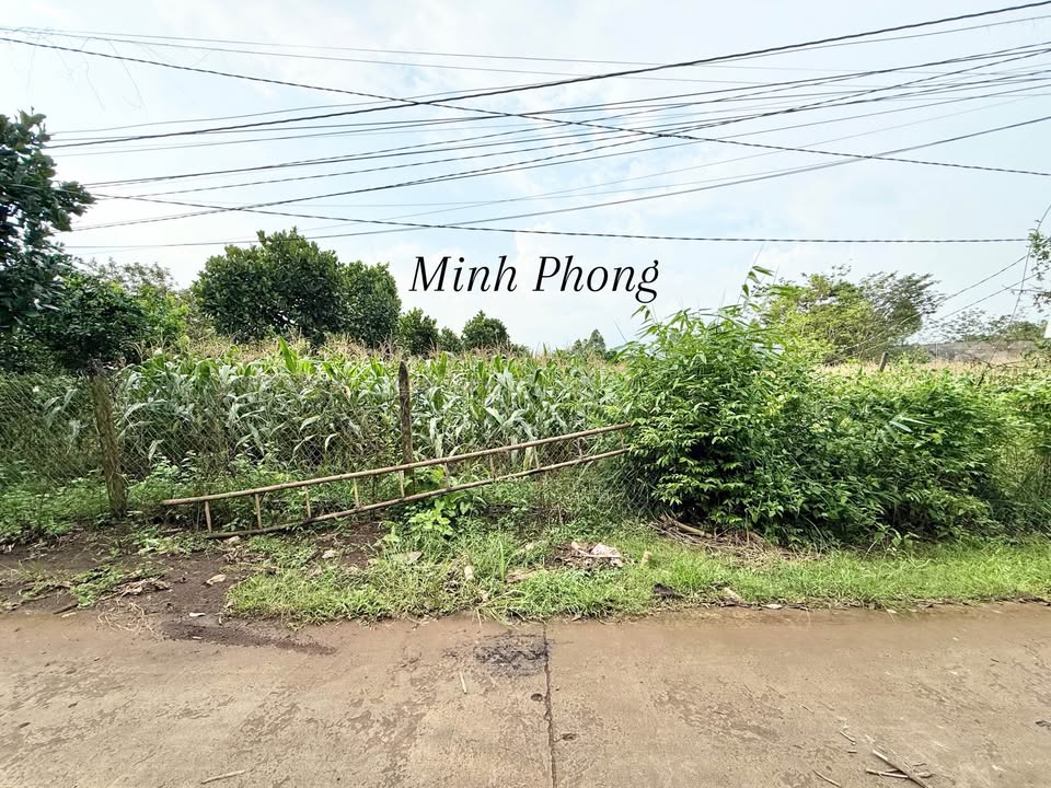 Đất nền 600m² tại đường Suối Chồn, phường Bảo Vinh - Giá tốt 2.1 tỷ!