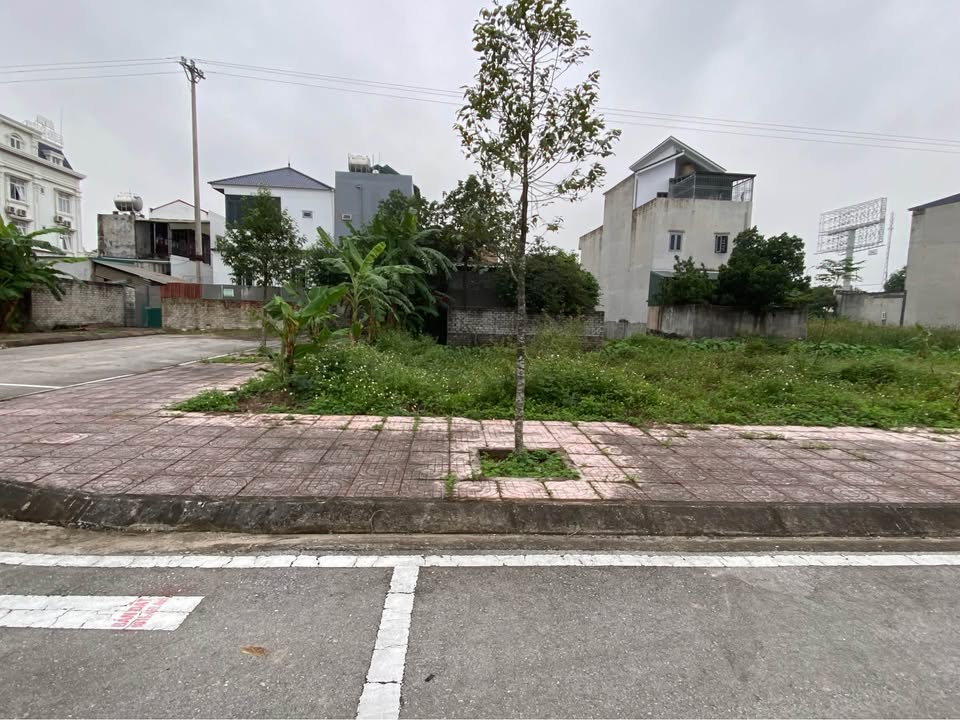 Lô đất biệt thự 320m² tại Ecopark Tân Phong, Quảng Xương - Cơ hội đầu tư sinh lời!