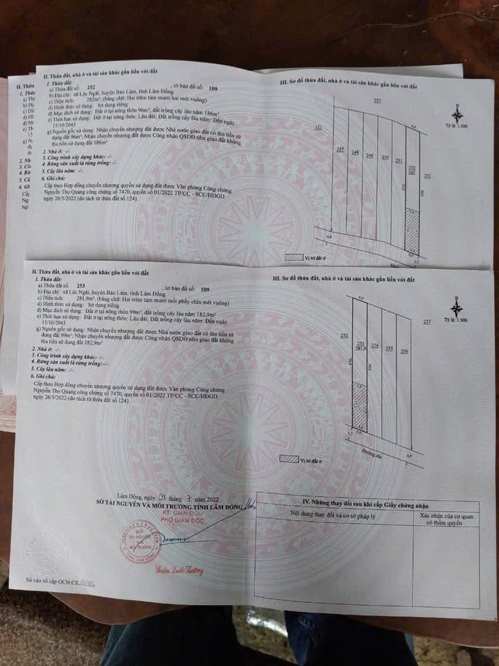 Đất liền kề Thôn 6 Lộc Ngãi Bảo Lâm 300m² giá 700 triệu - Thương lượng mạnh tay!