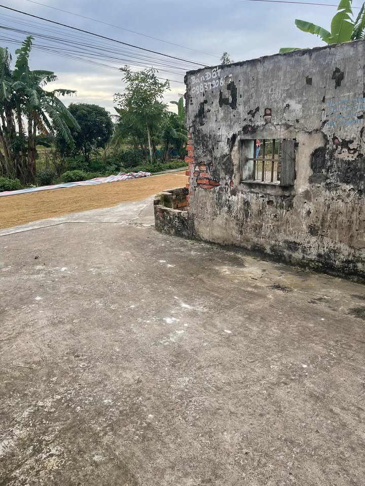 Đất nền Yên Lương, Ý Yên 117m² giá 1.3 tỷ - Lô góc thoáng mát!