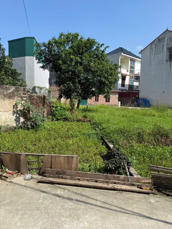 Đất nền Tiền Huân, Viên Sơn 48m² giá 1.3 tỷ - Đường ô tô đỗ trước đất!