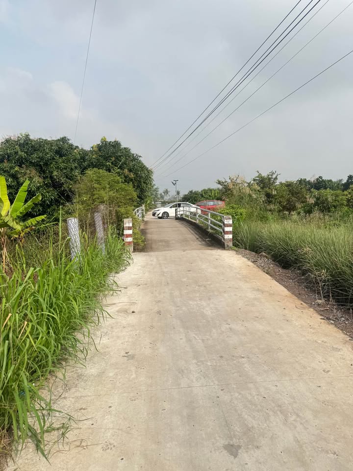 Đất thổ cư Phú Thạnh, Tân Phú Đông 255m² giá 280 triệu - Cơ hội đầu tư hấp dẫn!