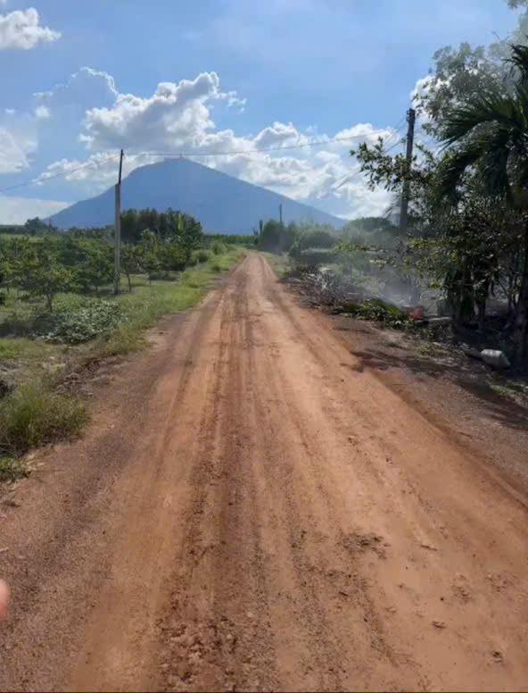 Đất trồng sầu riêng Suối Đá Dương Minh Châu 1400m² giá chỉ 600 triệu - Cơ hội đầu tư tuyệt vời!