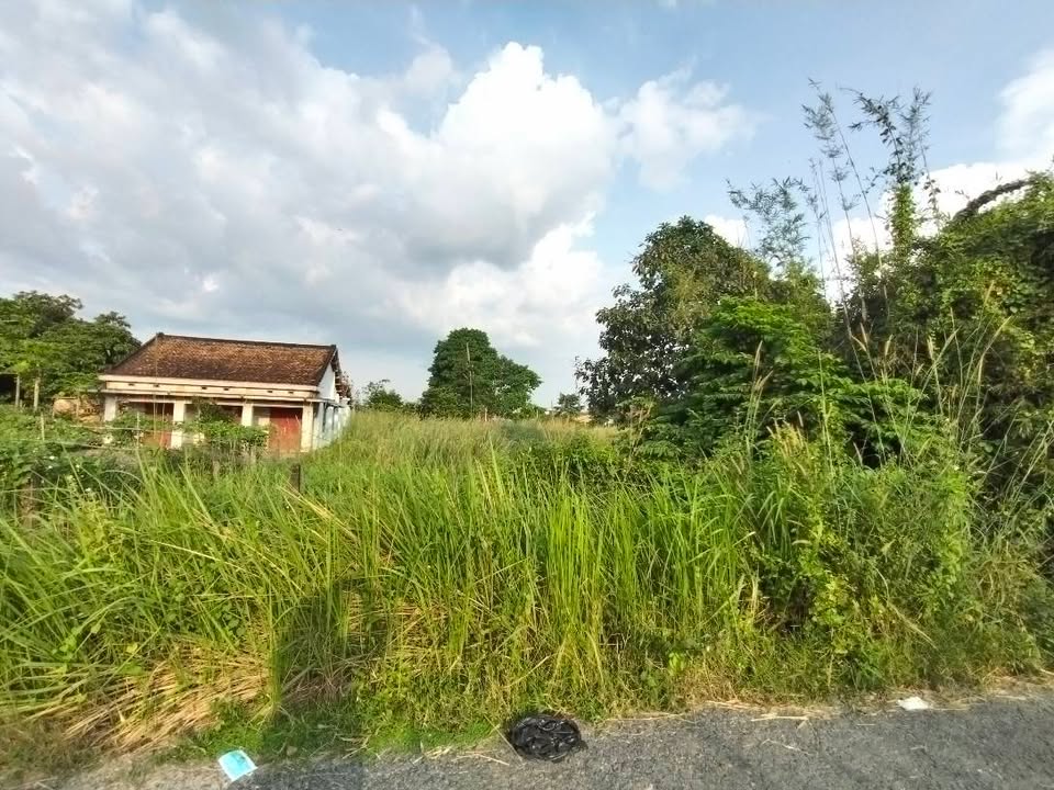 Đất nền An Thới, An Tịnh Tây Ninh 310m² giá chỉ 1 tỷ - Cơ hội đầu tư hấp dẫn!