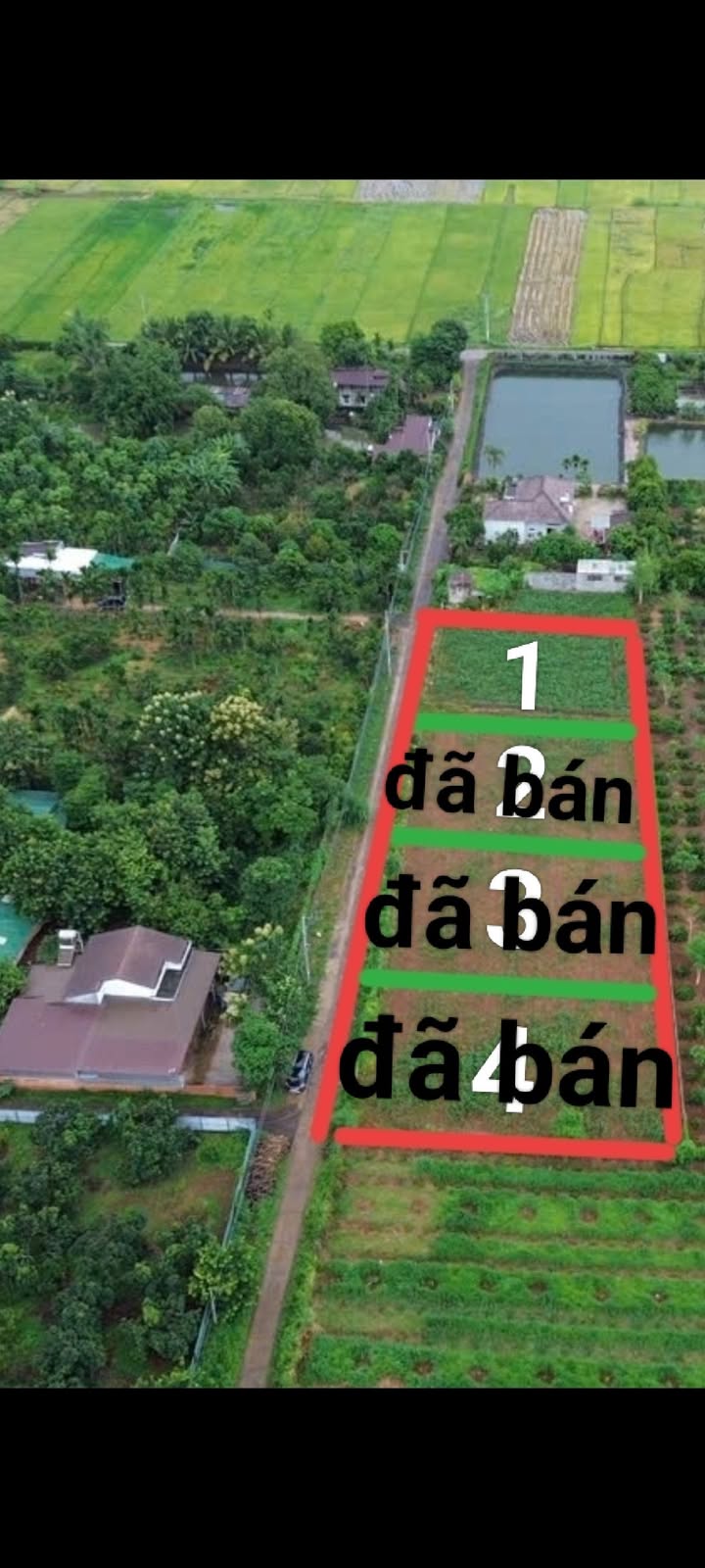 Đất Nông Nghiệp Phường Thành Nhất 540m² chỉ 600 triệu - Cơ hội đầu tư hiếm có!